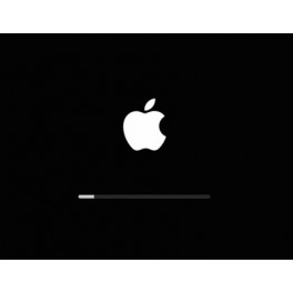 iMac 21.5 inch A1418 2017 4K Kernel Panic Reparatie
